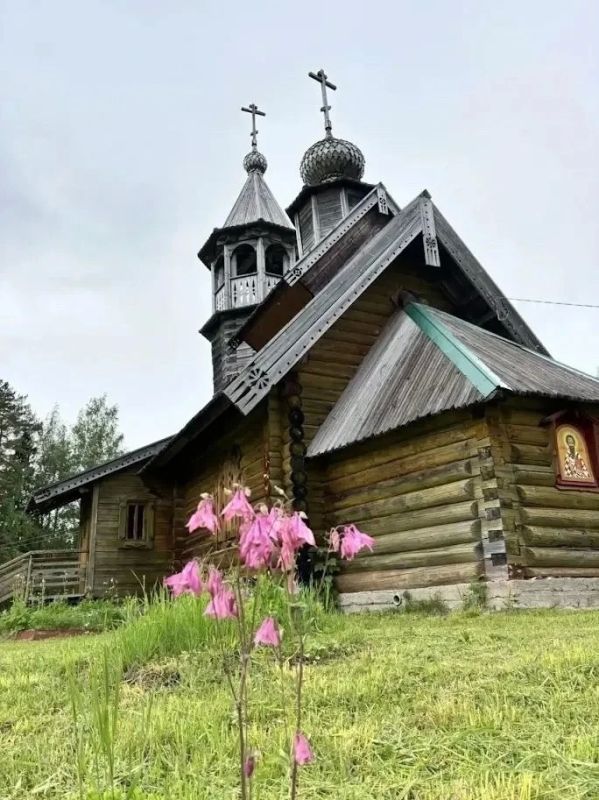 Правнучка художника Поленова впервые посетила родовые места в Ленобласти Правнучка художника Поленова впервые посетила родовые места в Ленобласти