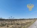 В Волосовском районе прокуратура требует очистить сельскохозяйственный участок в д. Извара от борщевика