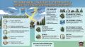 Мобильные огневые группы - на защите ленинградского неба