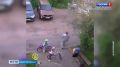 В Выборгском районе Ленинградской области расследуют наезд на трёхлетнего ребёнка