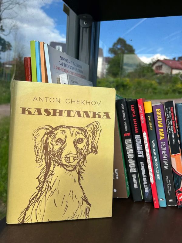 В Приоратском парке Гатчины восстановили шкаф для книгообмена В Приоратском парке Гатчины восстановили шкаф для книгообмена