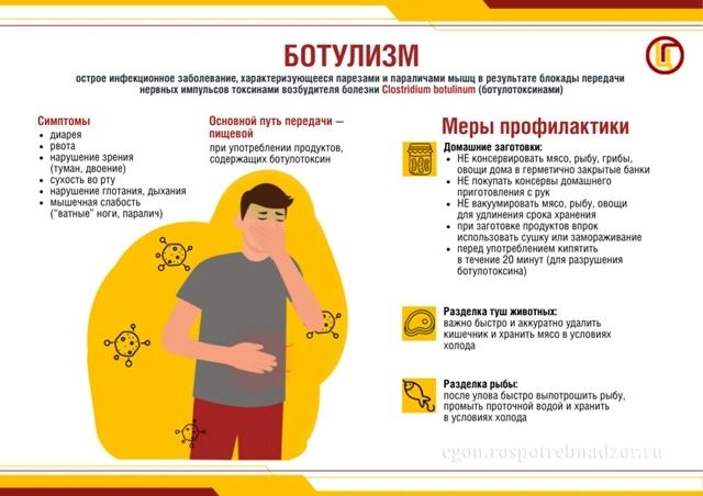 Осторожно, ботулизм!. Межрегиональное управление Роспотребнадзора по Санкт-Петербургу и Ленинградской области напоминает об опасности этого тяжелого заболевания, поражающего нервную систему и способного привести к...