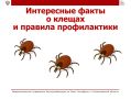 �� ��������� ���� �������� #���������������_���������� � �������� ������������ �� �������