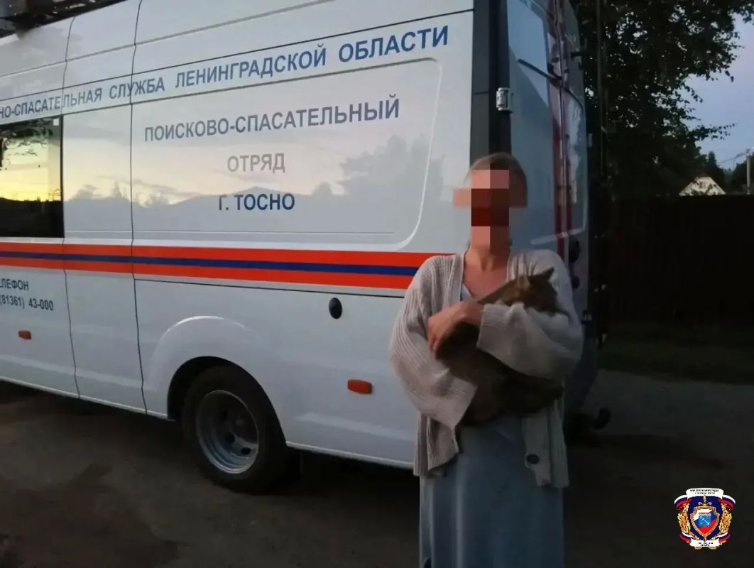 Иногда помощь нужна тем, кто не может попросить о ней словами Иногда помощь нужна тем, кто не может попросить о ней словами