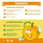 Чем полезны абрикосы и как их правильно выбирать?