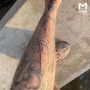 ������� ����� �� ������������� ����� ���� � ����� � ����������� ������� �� ����