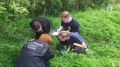 В Ленобласти нашли тело пропавшей девочки с признаками насильственной смерти, сообщили в СК