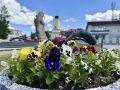 Александр Дрозденко поделился снимками цветущих клумб из Ленобласти