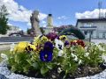 Александр Дрозденко: Жёлтые розы, фиолетовые незабудки, алые бегонии, лаванда…