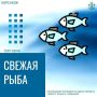 Навага по приезду: доступная цена сегодня в нескольких точках города