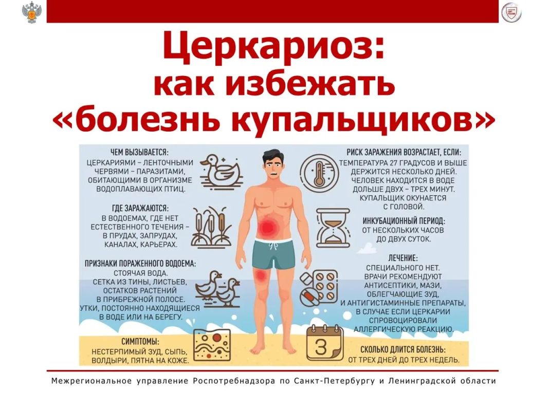 Церкариоз: как избежать «болезни купальщиков»