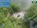 Экомилиция выехала на тревожный сигнал о гибели рыбы в озере Аннинское