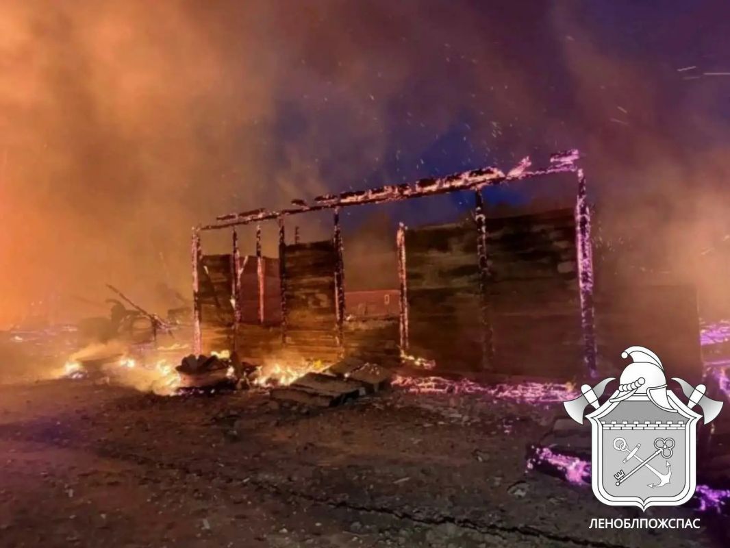 В Тарасино из объятого огнем коровника вывели 170 голов скота В Тарасино из объятого огнем коровника вывели 170 голов скота