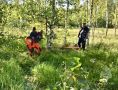В Ломоносовском районе спасли мужчину с ребёнком