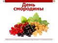 Смородина: какая полезнее? Разбираемся в витаминах!