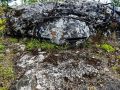 За кем должен был следить «Глаз Росомахи»?