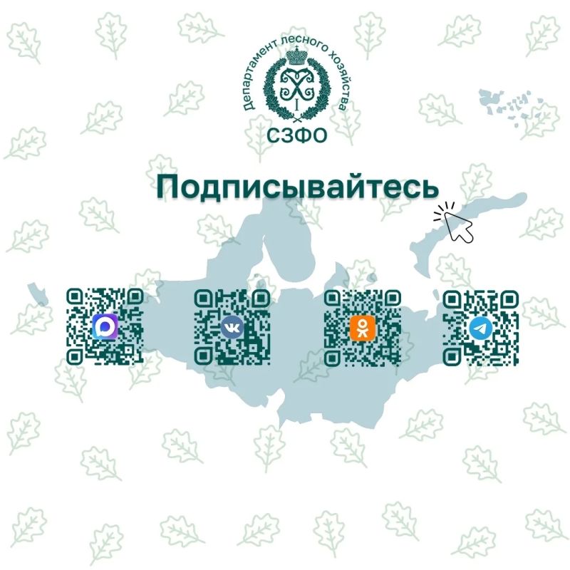 В СЗФО подвели итоги весеннего лесокультурного сезона В СЗФО подвели итоги весеннего лесокультурного сезона