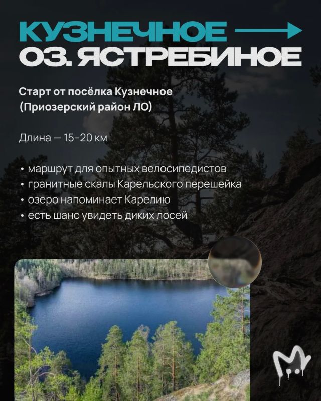 На фоне дефицита бензина продажи велосипедов из-за рубежа скакнули до 131% На фоне дефицита бензина продажи велосипедов из-за рубежа скакнули до 131%