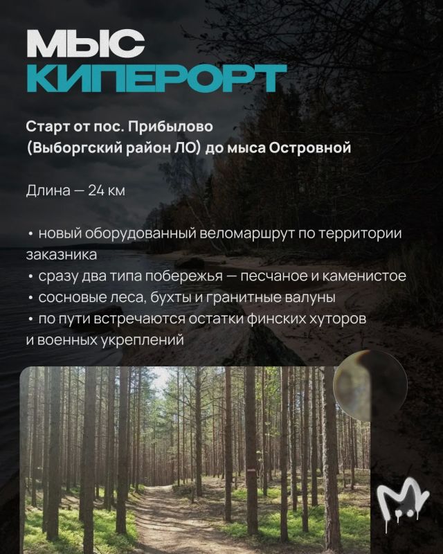 На фоне дефицита бензина продажи велосипедов из-за рубежа скакнули до 131% На фоне дефицита бензина продажи велосипедов из-за рубежа скакнули до 131%