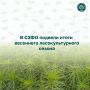 В СЗФО подвели итоги весеннего лесокультурного сезона
