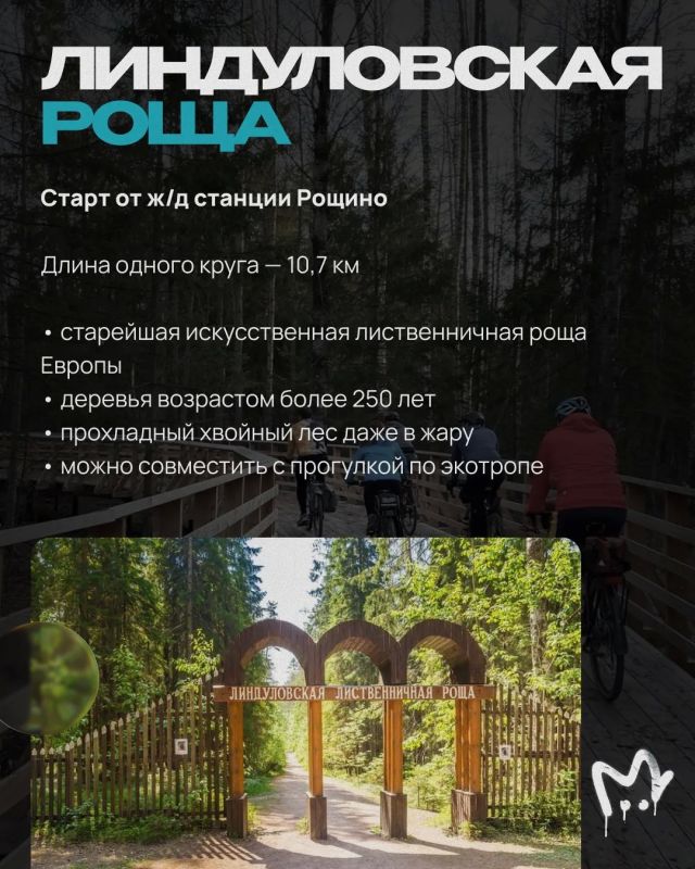 На фоне дефицита бензина продажи велосипедов из-за рубежа скакнули до 131% На фоне дефицита бензина продажи велосипедов из-за рубежа скакнули до 131%