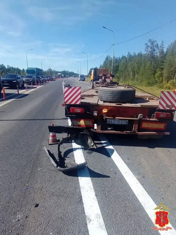 Полиция возбудила уголовное дело по факту смертельного ДТП в Лужском районе, водитель задержан Полиция возбудила уголовное дело по факту смертельного ДТП в Лужском районе, водитель задержан