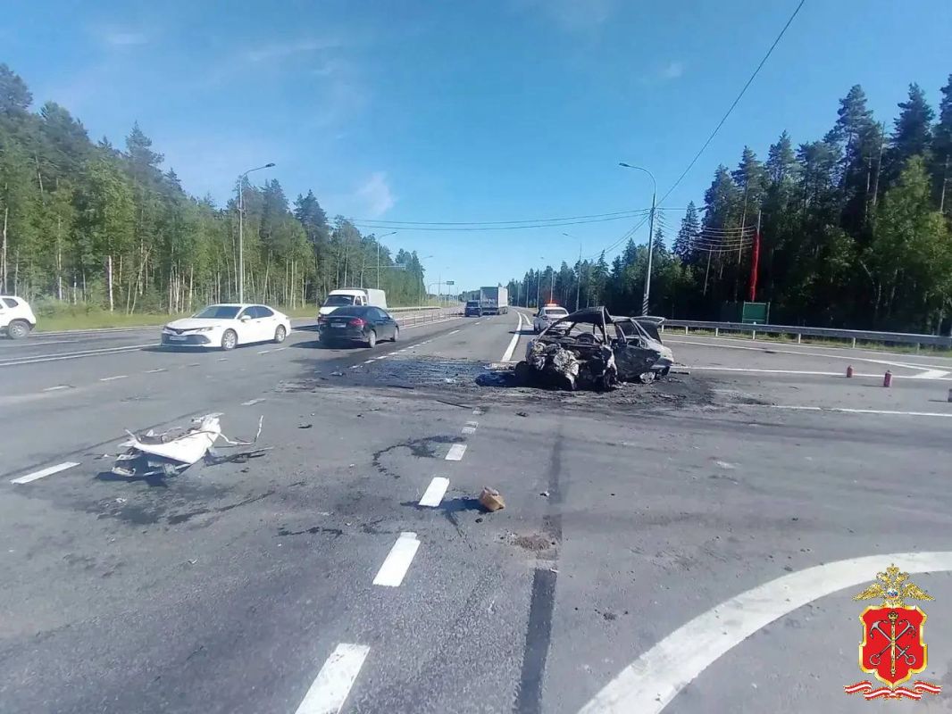 Полиция возбудила уголовное дело по факту смертельного ДТП в Лужском районе, водитель задержан Полиция возбудила уголовное дело по факту смертельного ДТП в Лужском районе, водитель задержан