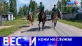 Вести Санкт-Петербург. Выпуск 20.50 от 18.07.2026