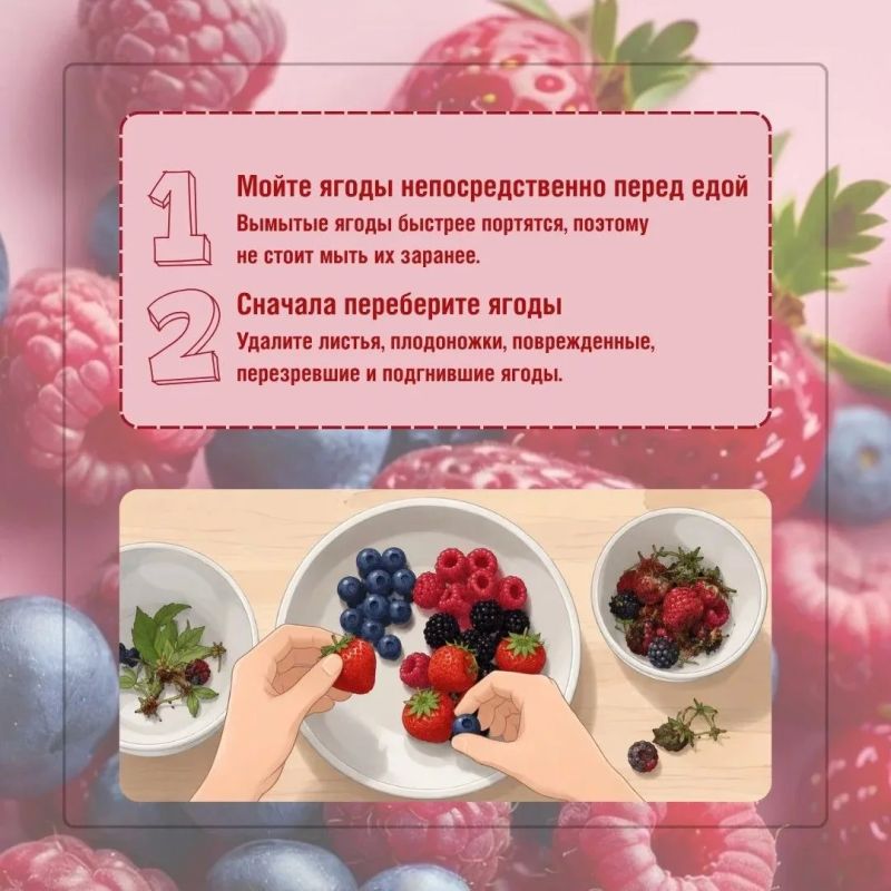 Клубника , малина, вишня , смородина, крыжовник – летом ягоды появляются на каждом столе Клубника , малина, вишня , смородина, крыжовник – летом ягоды появляются на каждом столе