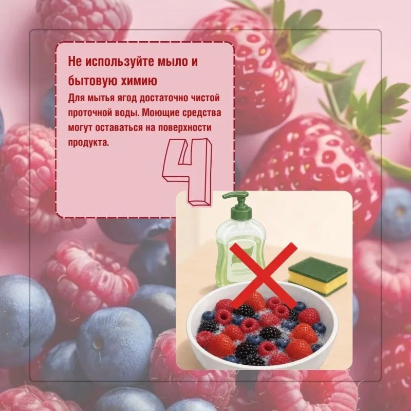 Клубника , малина, вишня , смородина, крыжовник – летом ягоды появляются на каждом столе Клубника , малина, вишня , смородина, крыжовник – летом ягоды появляются на каждом столе