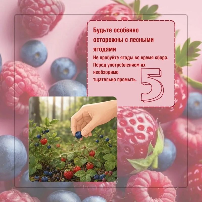 Клубника , малина, вишня , смородина, крыжовник – летом ягоды появляются на каждом столе Клубника , малина, вишня , смородина, крыжовник – летом ягоды появляются на каждом столе