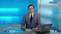 В Ленинградском зоопарке появились скунсы