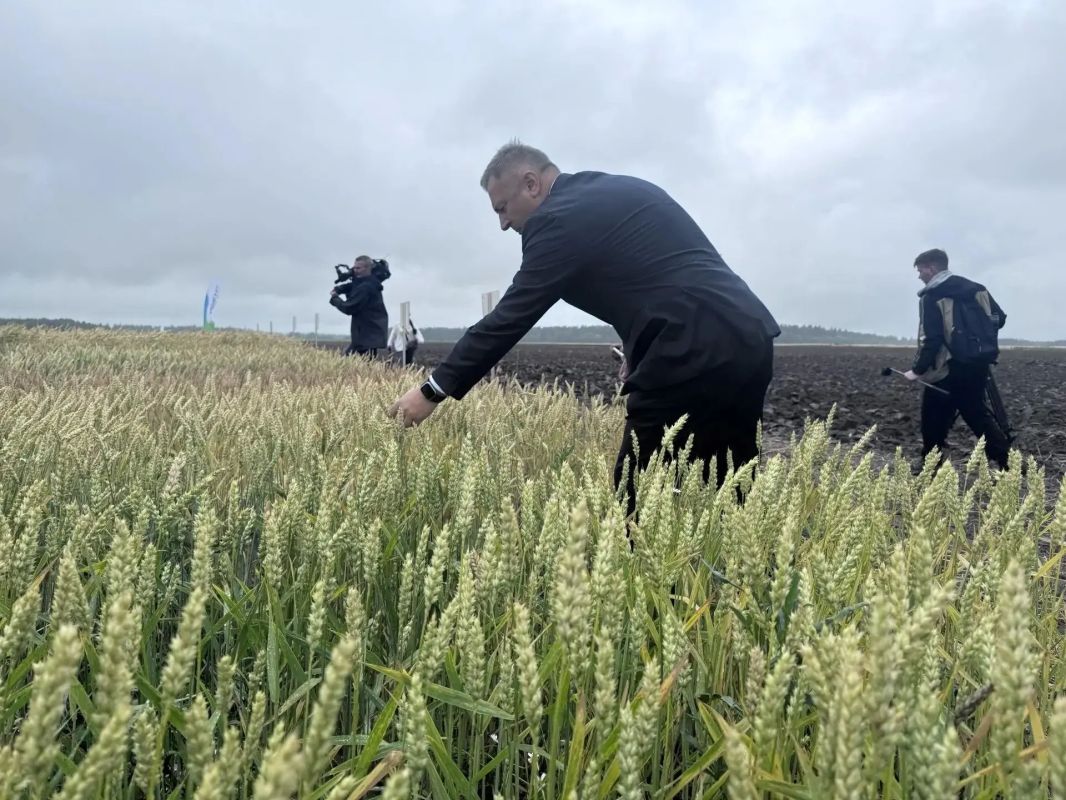 В Волосовском районе, на землях Госсорткомиссии, прошёл «День Сорта — 2026» В Волосовском районе, на землях Госсорткомиссии, прошёл «День Сорта — 2026»