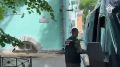 Бывший генеральный директор Фонда защиты прав граждан — участников долевого строительства Ленинградской области признан виновным в злоупотреблении полномочиями и незаконном получении коммерческого подкупа
