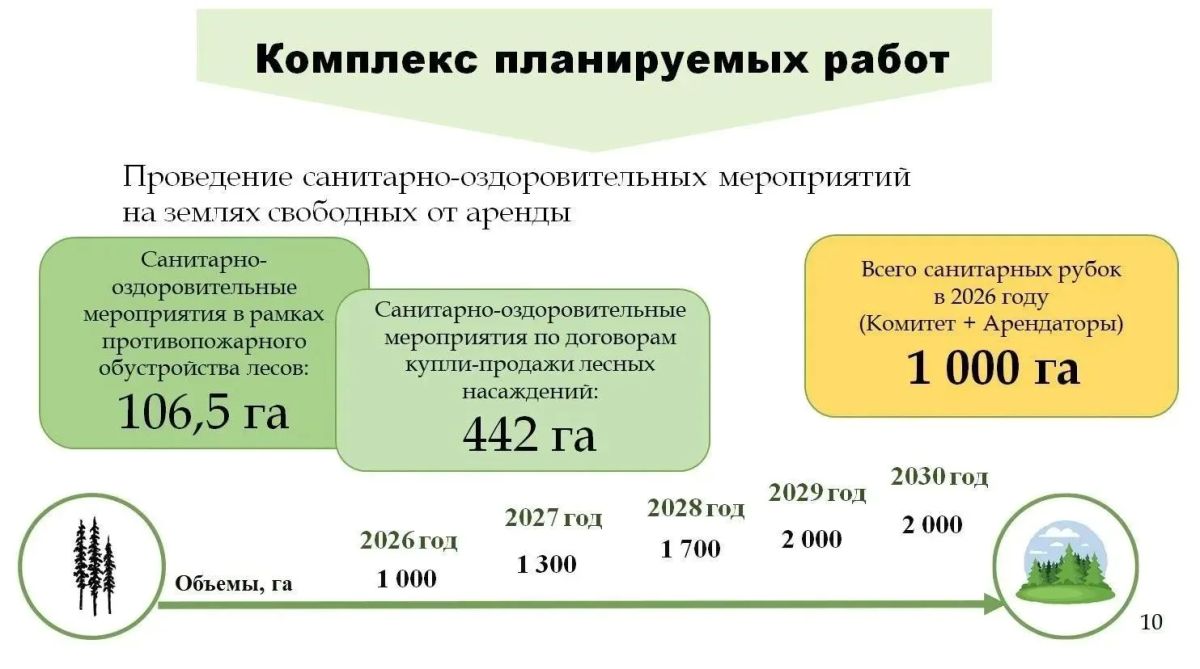 В 2025 году в лесах Ленинградской области ликвидировано 184 свалки объемом почти 9 тыс В 2025 году в лесах Ленинградской области ликвидировано 184 свалки объемом почти 9 тыс