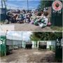 В Колтушах ликвидировали свалку у контейнерной площадки