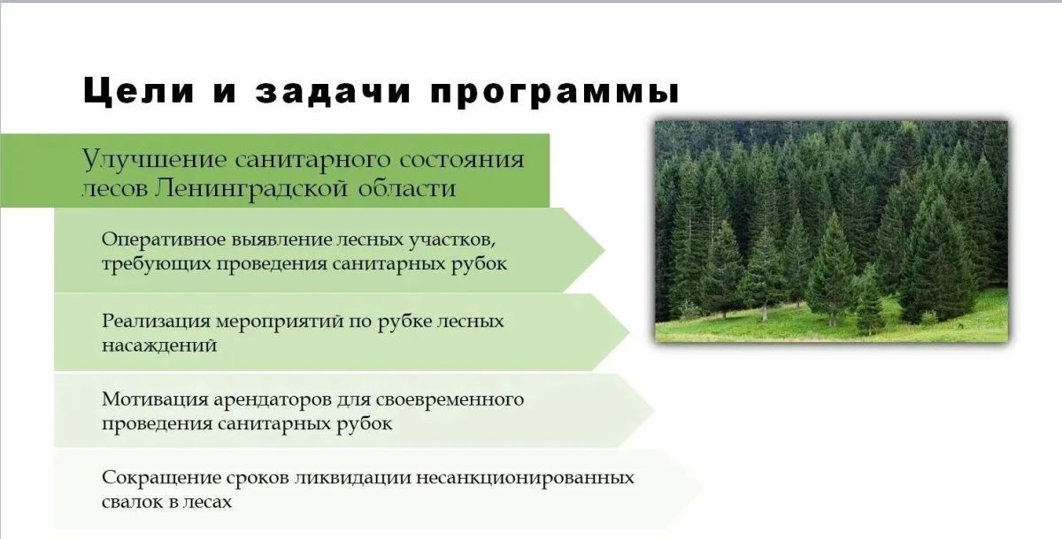 В 2025 году в лесах Ленинградской области ликвидировано 184 свалки объемом почти 9 тыс В 2025 году в лесах Ленинградской области ликвидировано 184 свалки объемом почти 9 тыс