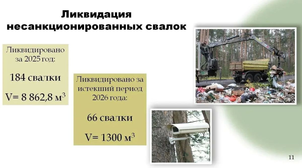 В 2025 году в лесах Ленинградской области ликвидировано 184 свалки объемом почти 9 тыс В 2025 году в лесах Ленинградской области ликвидировано 184 свалки объемом почти 9 тыс