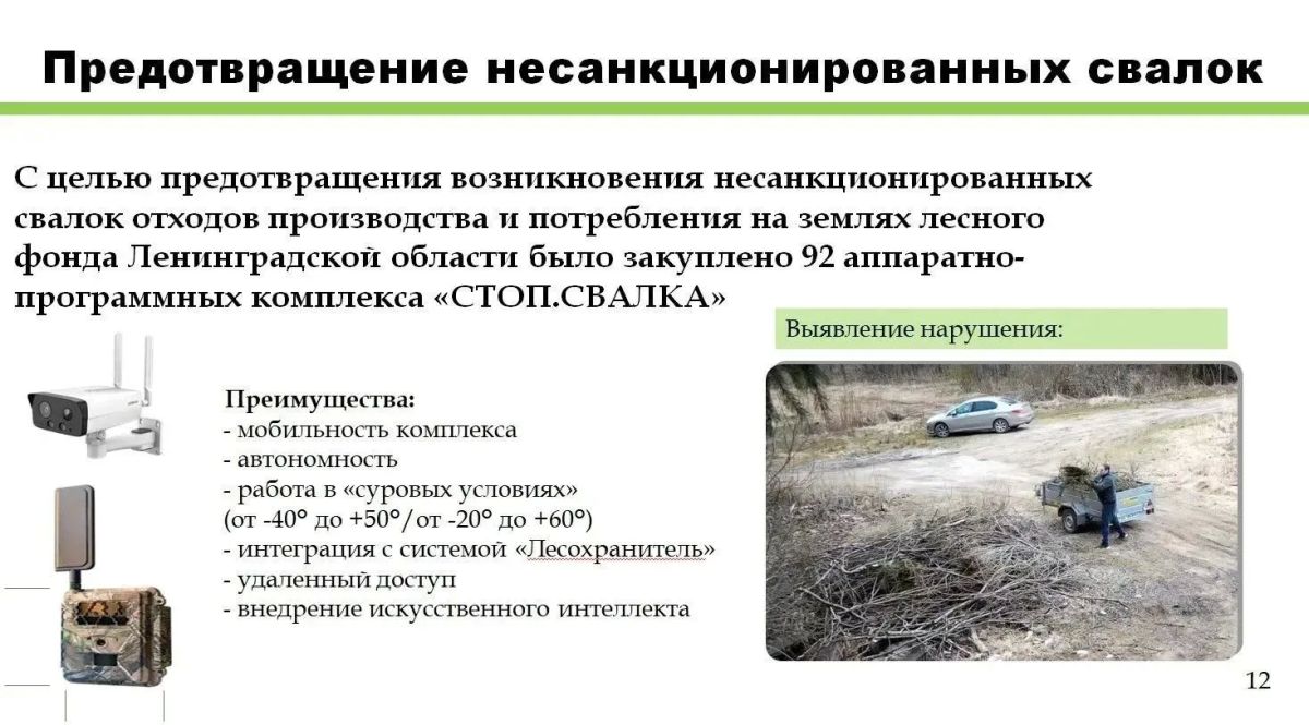 В 2025 году в лесах Ленинградской области ликвидировано 184 свалки объемом почти 9 тыс В 2025 году в лесах Ленинградской области ликвидировано 184 свалки объемом почти 9 тыс