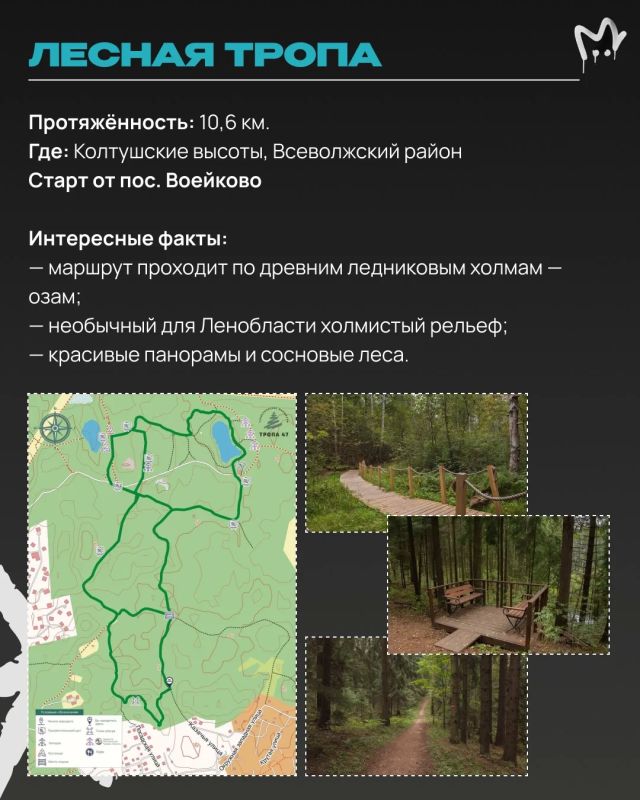 Отыскать каньон или гигантские валуны ледникового периода в Ленобласти, прогуляться по лесу или аккуратному болоту — собрали для вас самые необычные экотропы Отыскать каньон или гигантские валуны ледникового периода в Ленобласти, прогуляться по лесу или аккуратному болоту — собрали для вас самые необычные экотропы