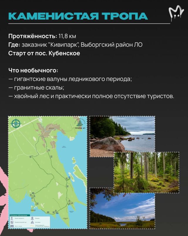 Отыскать каньон или гигантские валуны ледникового периода в Ленобласти, прогуляться по лесу или аккуратному болоту — собрали для вас самые необычные экотропы Отыскать каньон или гигантские валуны ледникового периода в Ленобласти, прогуляться по лесу или аккуратному болоту — собрали для вас самые необычные экотропы