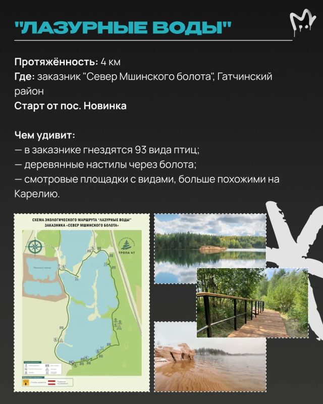 Отыскать каньон или гигантские валуны ледникового периода в Ленобласти, прогуляться по лесу или аккуратному болоту — собрали для вас самые необычные экотропы Отыскать каньон или гигантские валуны ледникового периода в Ленобласти, прогуляться по лесу или аккуратному болоту — собрали для вас самые необычные экотропы