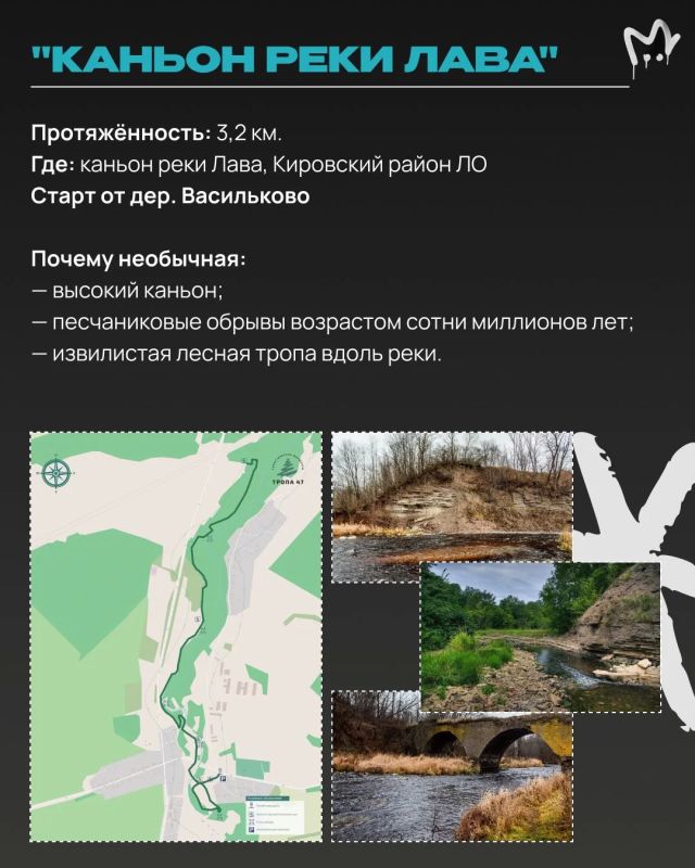 Отыскать каньон или гигантские валуны ледникового периода в Ленобласти, прогуляться по лесу или аккуратному болоту — собрали для вас самые необычные экотропы Отыскать каньон или гигантские валуны ледникового периода в Ленобласти, прогуляться по лесу или аккуратному болоту — собрали для вас самые необычные экотропы