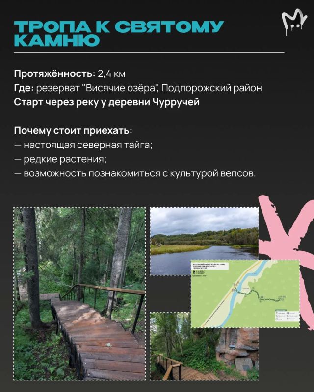 Отыскать каньон или гигантские валуны ледникового периода в Ленобласти, прогуляться по лесу или аккуратному болоту — собрали для вас самые необычные экотропы Отыскать каньон или гигантские валуны ледникового периода в Ленобласти, прогуляться по лесу или аккуратному болоту — собрали для вас самые необычные экотропы