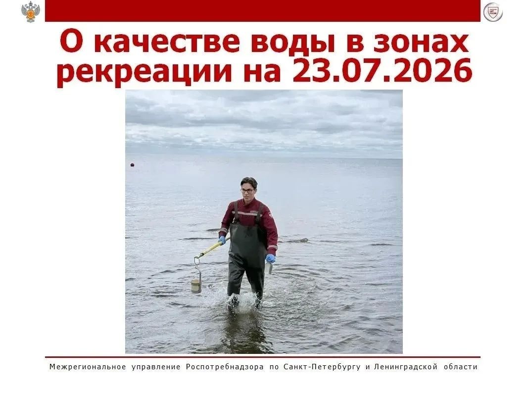 Роспотребнадзор признал безопасными для купания только шесть пляжей Ленобласти