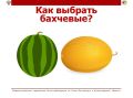 #���������������_���������� � �������� ������ �������� �������