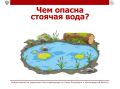 Лужи, бочки для полива, заброшенные емкости и небольшие водоемы со стоячей водой могут представлять опасность для здоровья
