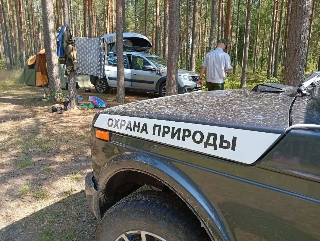За первое полугодие 2026 года на особо охраняемых природных территориях Ленобласти проведено 5 603 профилактических мероприятия — на 31% больше, чем в прошлом году За первое полугодие 2026 года на особо охраняемых природных территориях Ленобласти проведено 5 603 профилактических мероприятия — на 31% больше, чем в прошлом году
