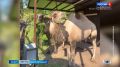 � ������������� �������� ������� ����� ��� ���� ������� ���������