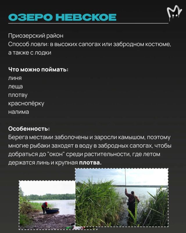 Щука, окунь, судак и карась где-то вас ждут Щука, окунь, судак и карась где-то вас ждут